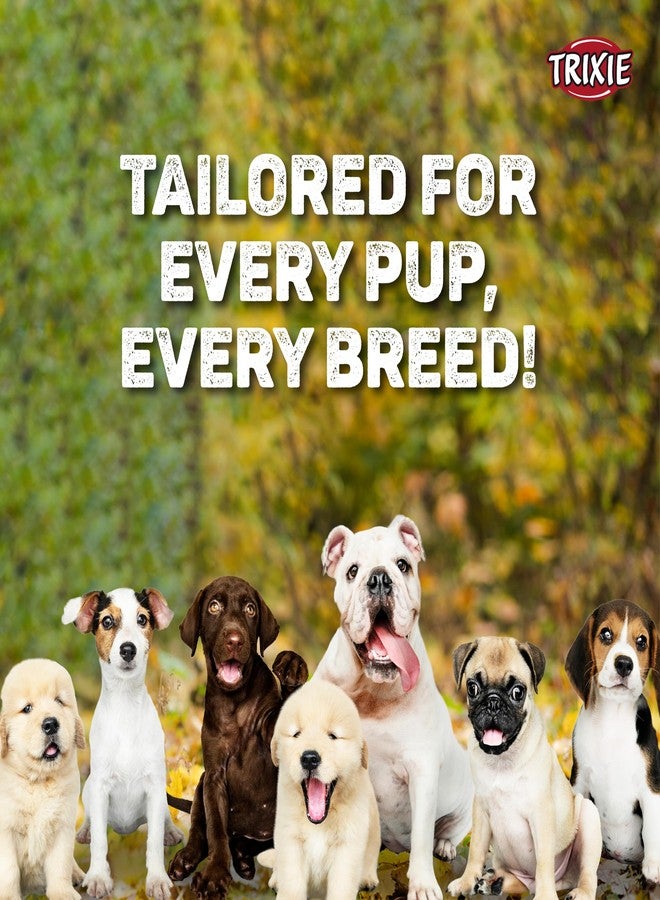 Trixie: - Classic Lead, Nylon Adjustable Dog Lead with Stainless Steel Hooks, Made, Padded Loop Gives a Comfortable Grip - (3.30 ft./20 mm, M-L) Red - Image 5